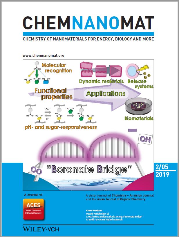 ChemNanoMat